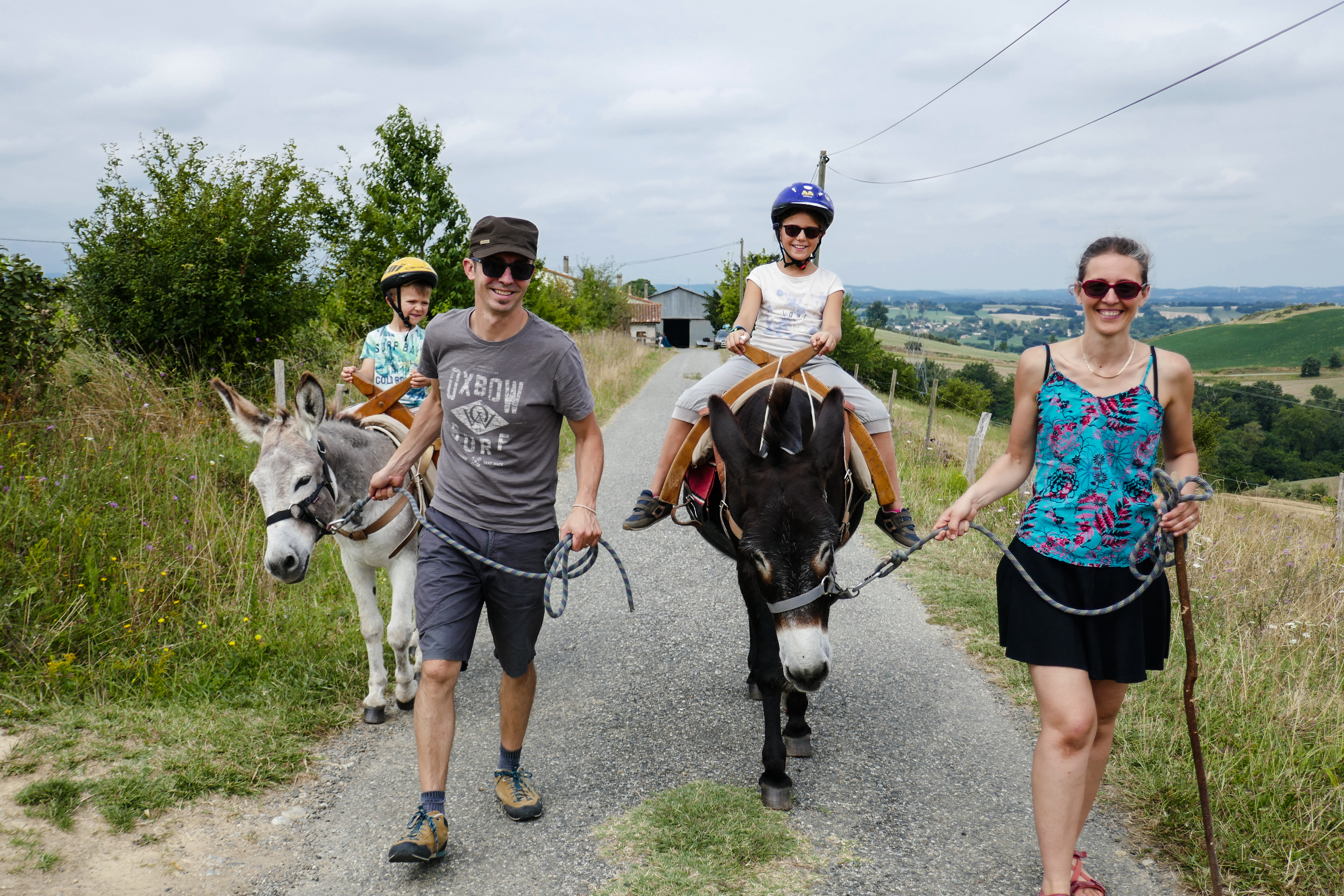 Le Rucher des ânes - blog famille - Haute-Garonne Tourisme - Rieux Volvestre 