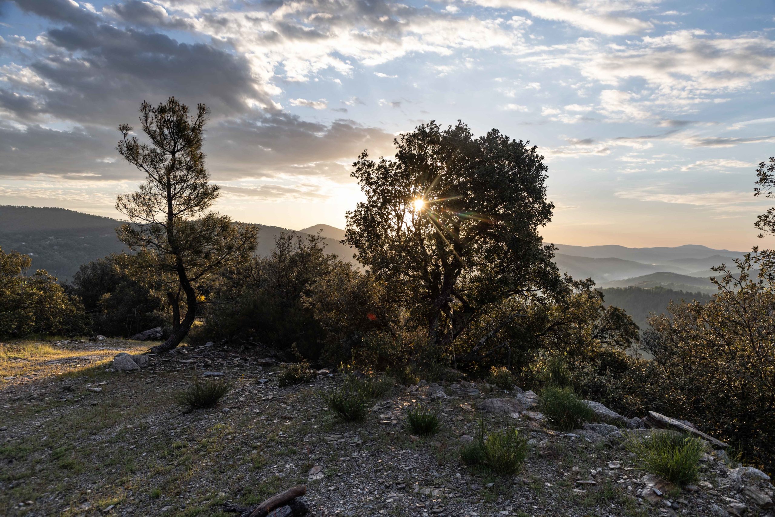 Les Cévennes en famille côté Lozère. Domaine le Verdier.  