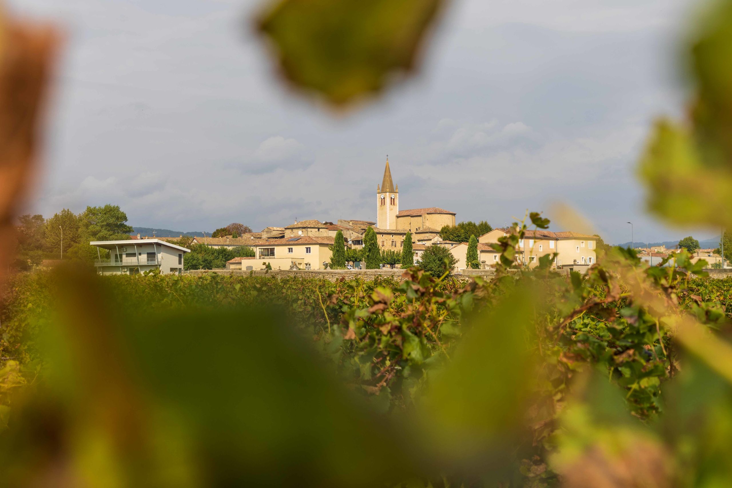 Ardèche - Famille - Automne - Saint-Sernin - caves vivaraises