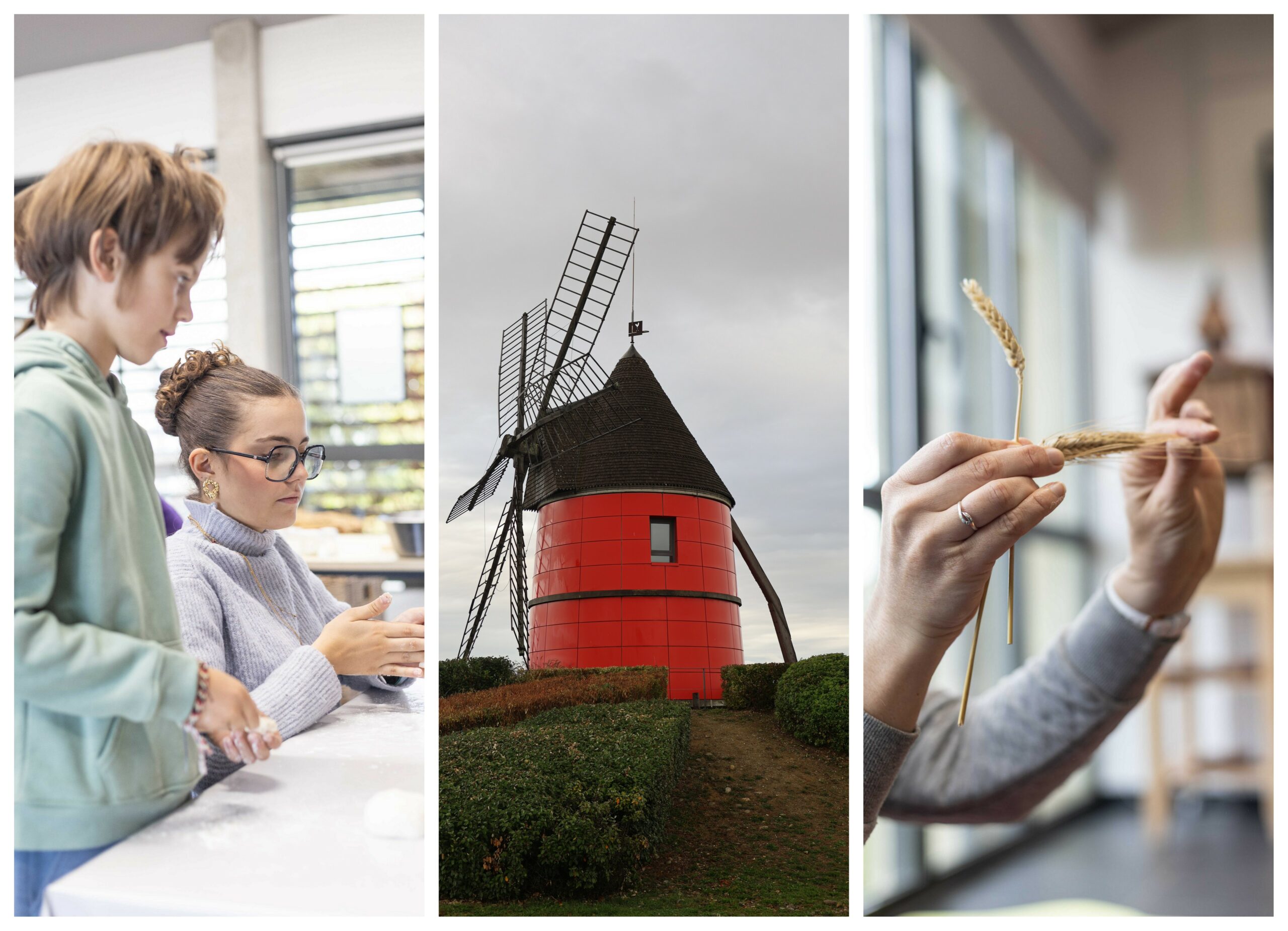 Le Moulin de Nailloux dans le Lauragais