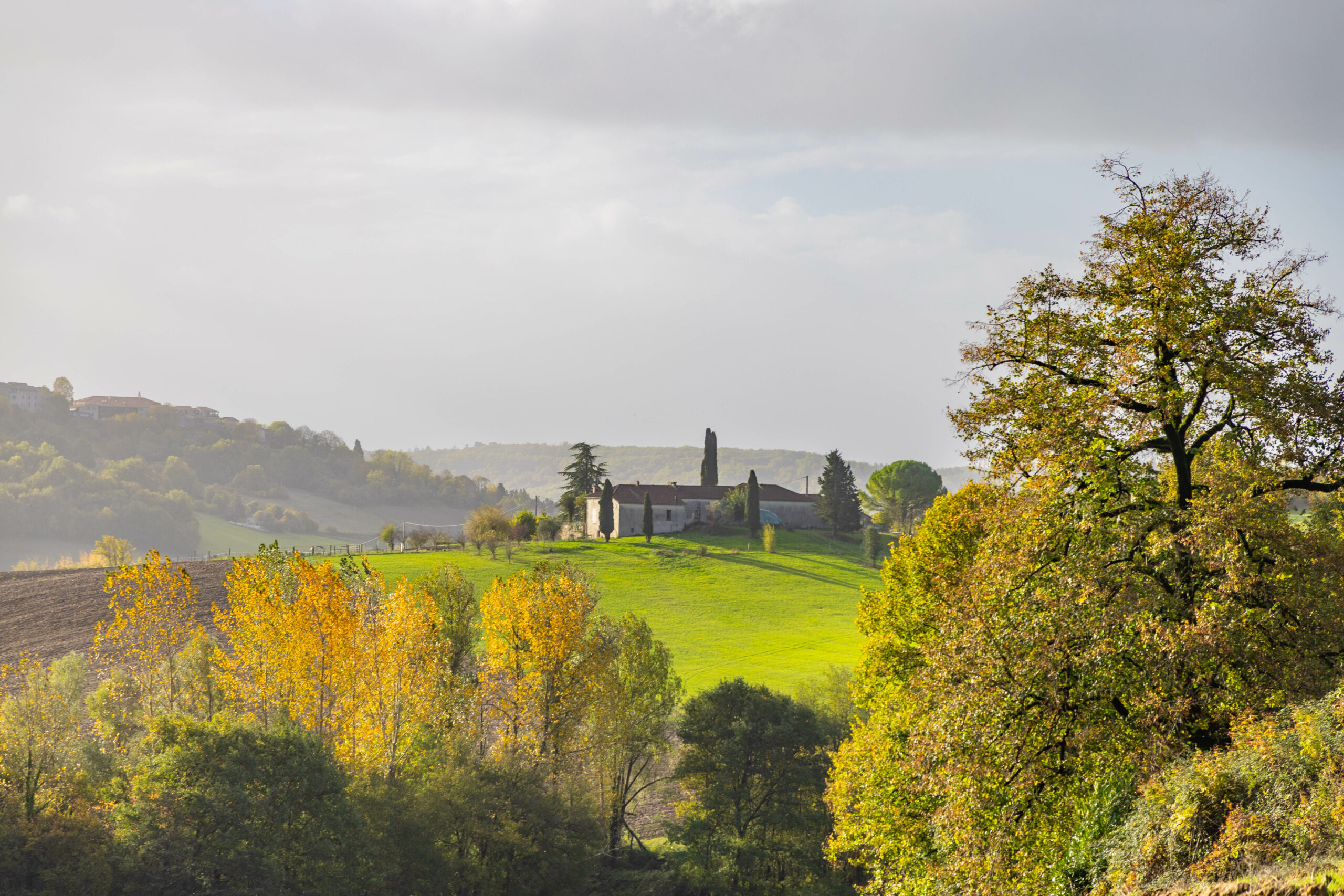 Le Quercy blanc - Le Tarn et Garonne en automne