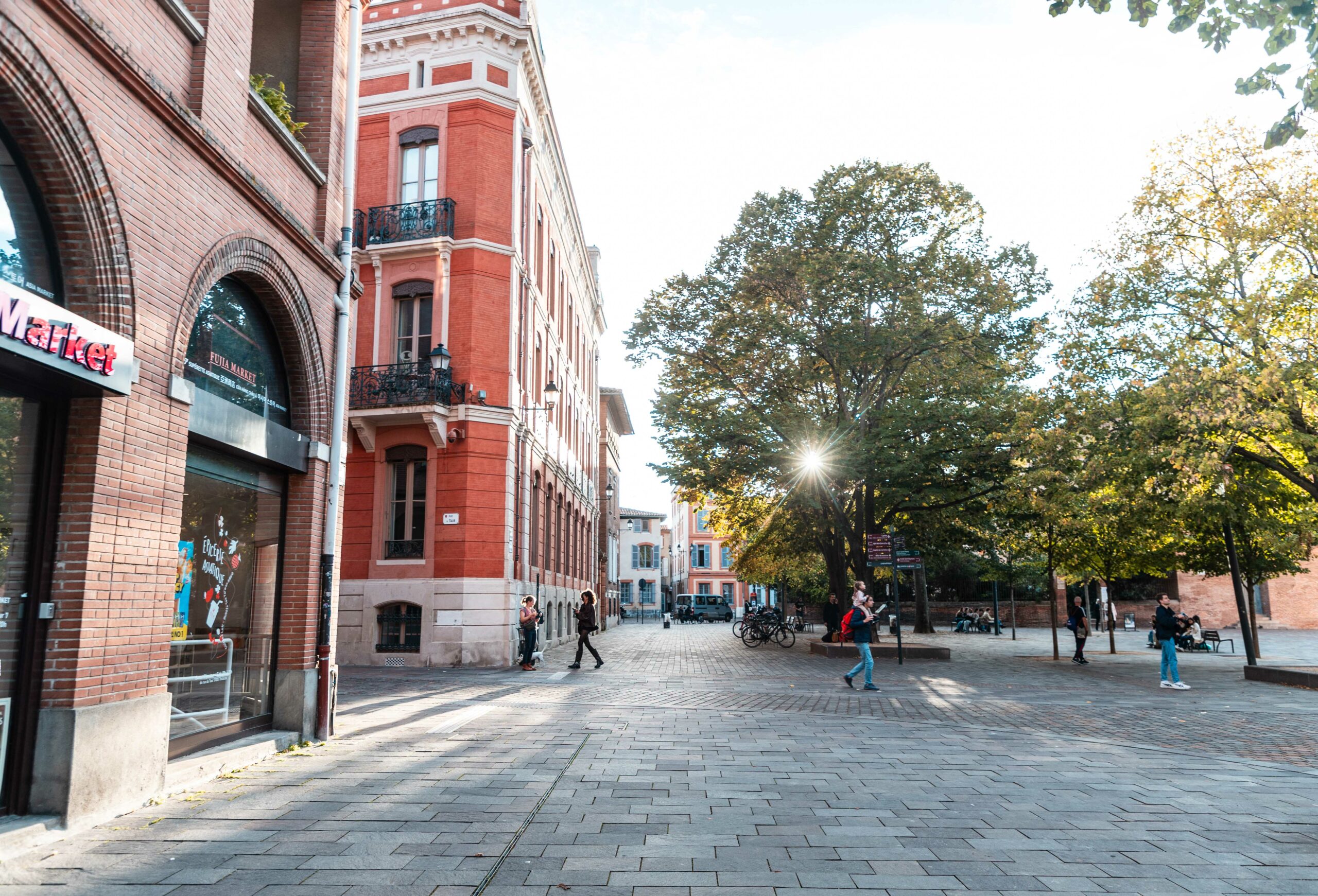 Toulouse en famille  - city trip 